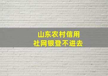 山东农村信用社网银登不进去