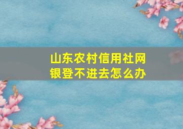 山东农村信用社网银登不进去怎么办