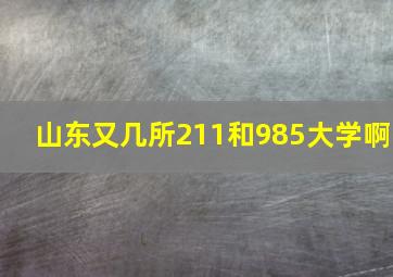 山东又几所211和985大学啊