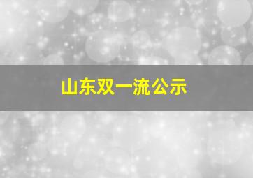 山东双一流公示