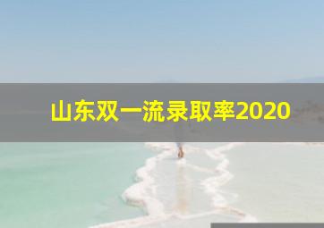 山东双一流录取率2020