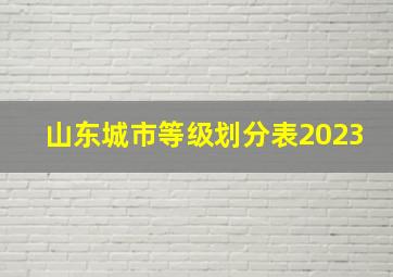 山东城市等级划分表2023