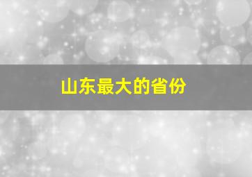 山东最大的省份