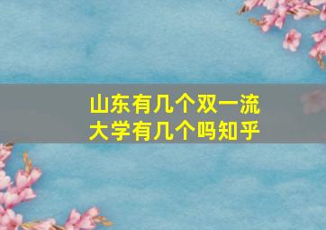 山东有几个双一流大学有几个吗知乎