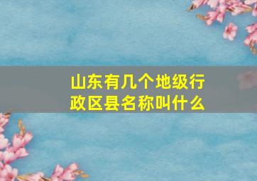 山东有几个地级行政区县名称叫什么