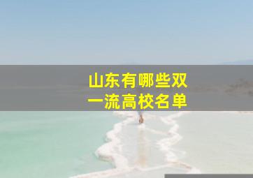 山东有哪些双一流高校名单