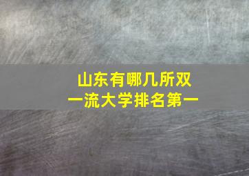 山东有哪几所双一流大学排名第一