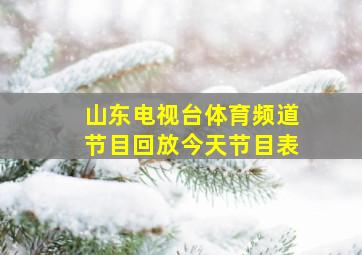 山东电视台体育频道节目回放今天节目表