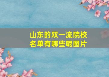 山东的双一流院校名单有哪些呢图片