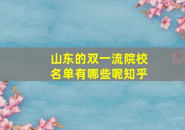 山东的双一流院校名单有哪些呢知乎