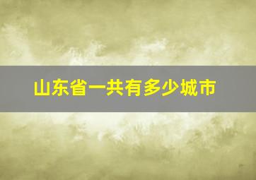 山东省一共有多少城市