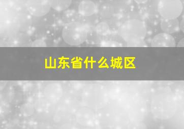 山东省什么城区