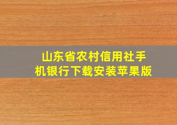 山东省农村信用社手机银行下载安装苹果版