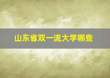 山东省双一流大学哪些