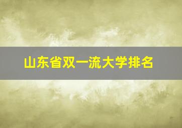 山东省双一流大学排名