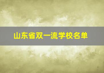 山东省双一流学校名单