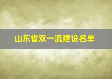 山东省双一流建设名单