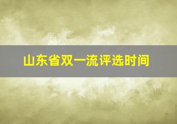 山东省双一流评选时间