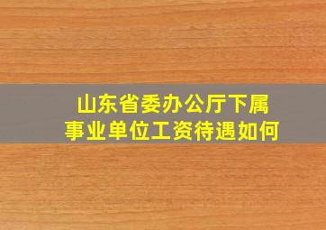 山东省委办公厅下属事业单位工资待遇如何