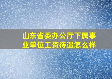 山东省委办公厅下属事业单位工资待遇怎么样