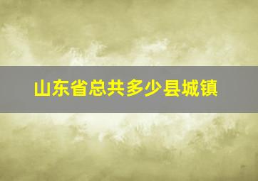 山东省总共多少县城镇