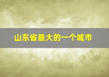 山东省最大的一个城市