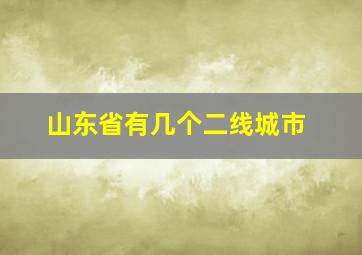 山东省有几个二线城市