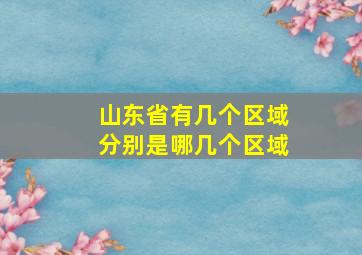 山东省有几个区域分别是哪几个区域