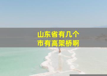 山东省有几个市有高架桥啊