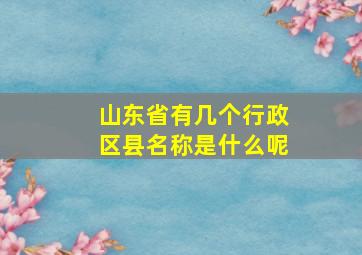 山东省有几个行政区县名称是什么呢