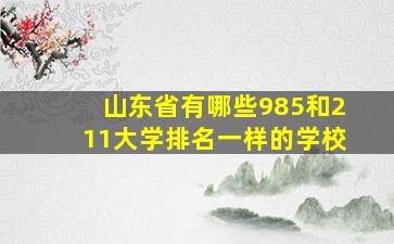 山东省有哪些985和211大学排名一样的学校