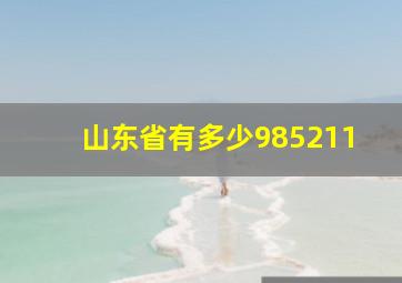 山东省有多少985211