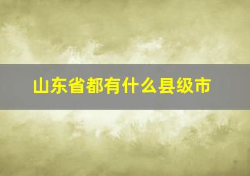 山东省都有什么县级市