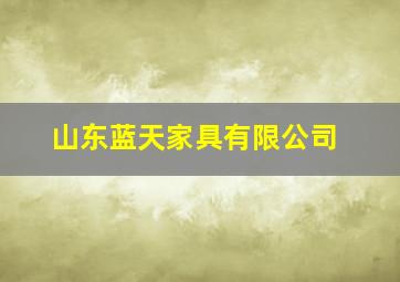 山东蓝天家具有限公司