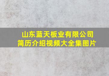 山东蓝天板业有限公司简历介绍视频大全集图片