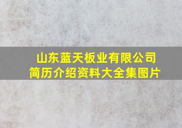 山东蓝天板业有限公司简历介绍资料大全集图片