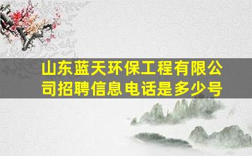 山东蓝天环保工程有限公司招聘信息电话是多少号