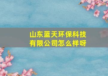 山东蓝天环保科技有限公司怎么样呀