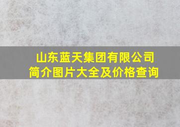 山东蓝天集团有限公司简介图片大全及价格查询