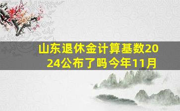 山东退休金计算基数2024公布了吗今年11月