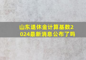 山东退休金计算基数2024最新消息公布了吗