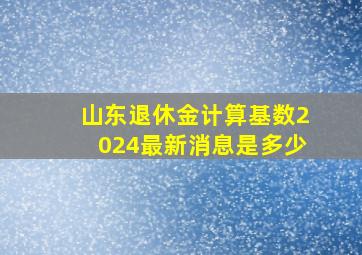 山东退休金计算基数2024最新消息是多少