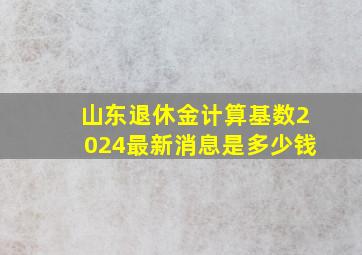 山东退休金计算基数2024最新消息是多少钱