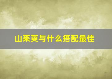 山茱萸与什么搭配最佳