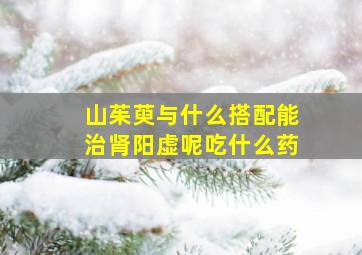 山茱萸与什么搭配能治肾阳虚呢吃什么药