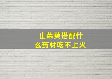 山茱萸搭配什么药材吃不上火