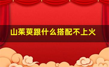 山茱萸跟什么搭配不上火