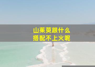 山茱萸跟什么搭配不上火呢