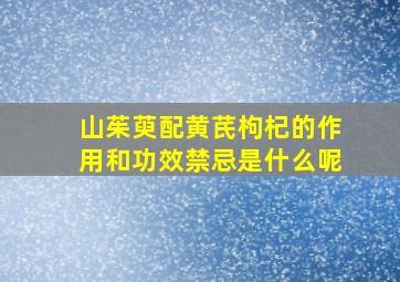 山茱萸配黄芪枸杞的作用和功效禁忌是什么呢