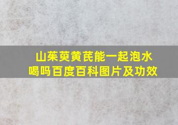 山茱萸黄芪能一起泡水喝吗百度百科图片及功效